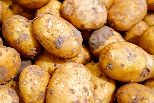 Den ultimative guide til at vælge de bedste kartofler til din Airfryer